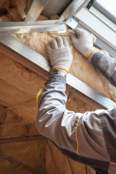 Best Insulation Repair Services  in Friars Point, MS