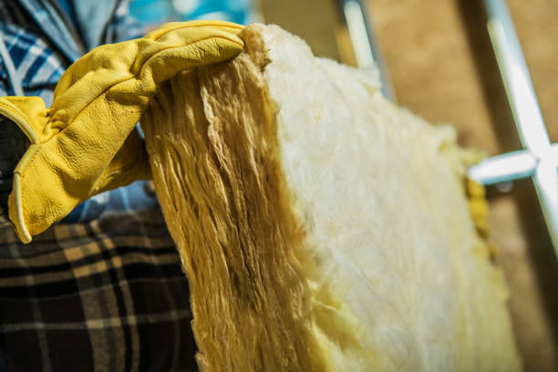 Best Fiberglass Insulation  in Friars Point, MS