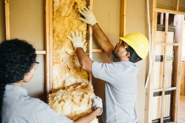 Insulation for Commercial Buildings in Friars Point, MS
