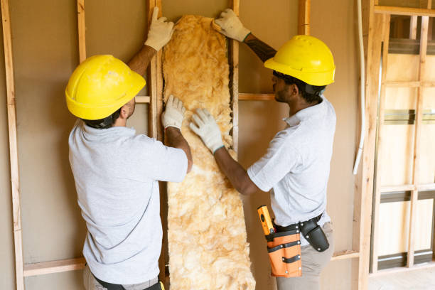 Best Spray Foam Insulation  in Friars Point, MS
