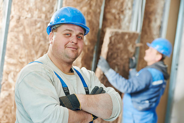 Best Insulation for New Construction  in Friars Point, MS
