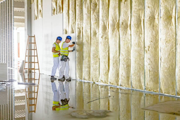 Best Affordable Insulation Services  in Friars Point, MS
